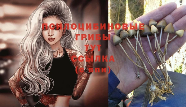 Альфа ПВП Михайловск