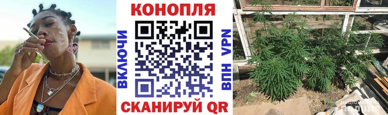 где можно купить   Чишмы  МАРИХУАНА VHQ 